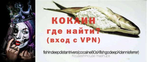 сатива Арсеньев