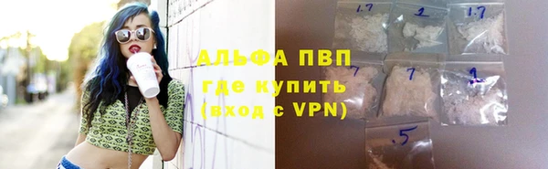 сатива Арсеньев