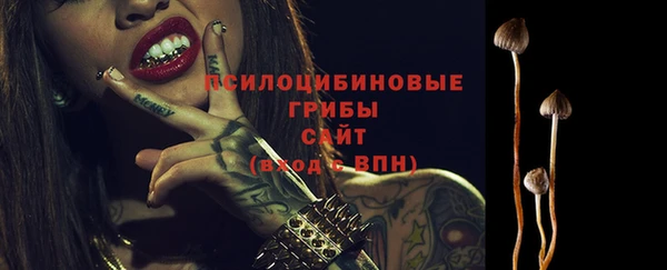 твердый Нягань
