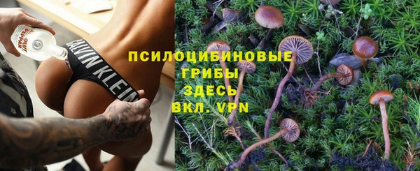 не бодяженный Нязепетровск