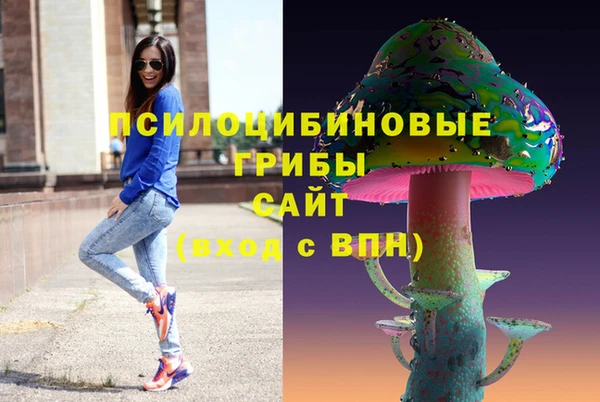МДПВ Аркадак