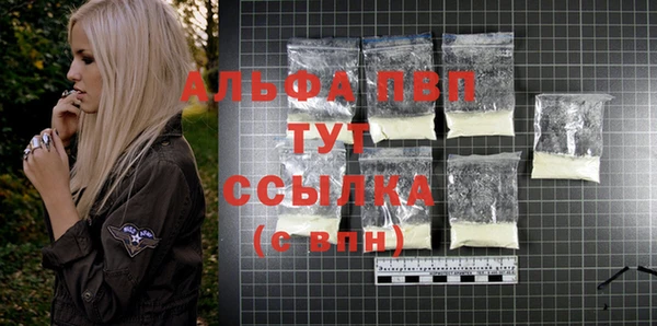 сатива Арсеньев
