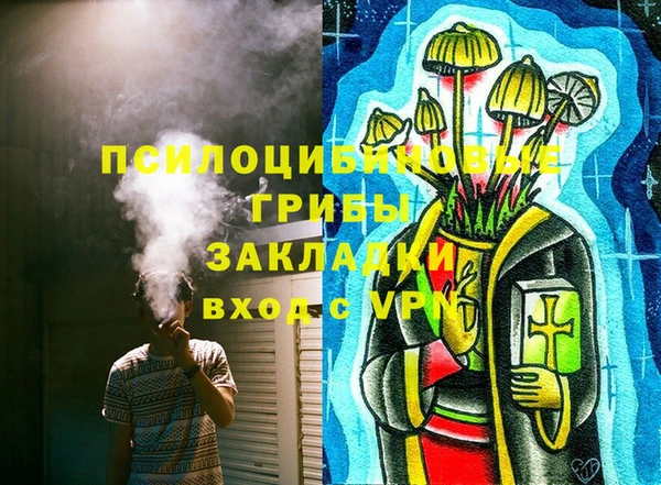 сатива Арсеньев