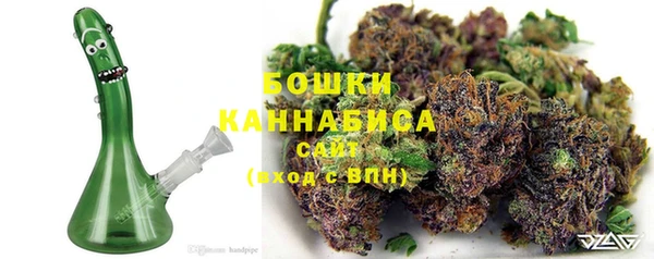 сатива Арсеньев